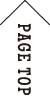 PAGE TOP